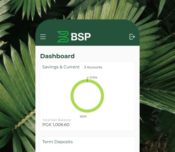 Download the BSP app
